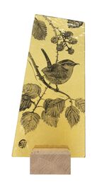 Wren and blackberry
