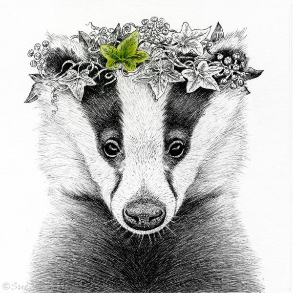 Badger Queen