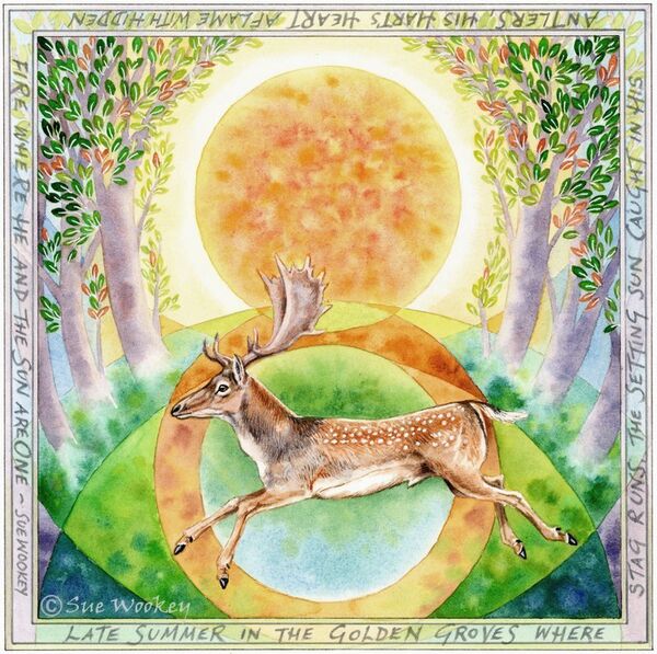 Fallow Summer