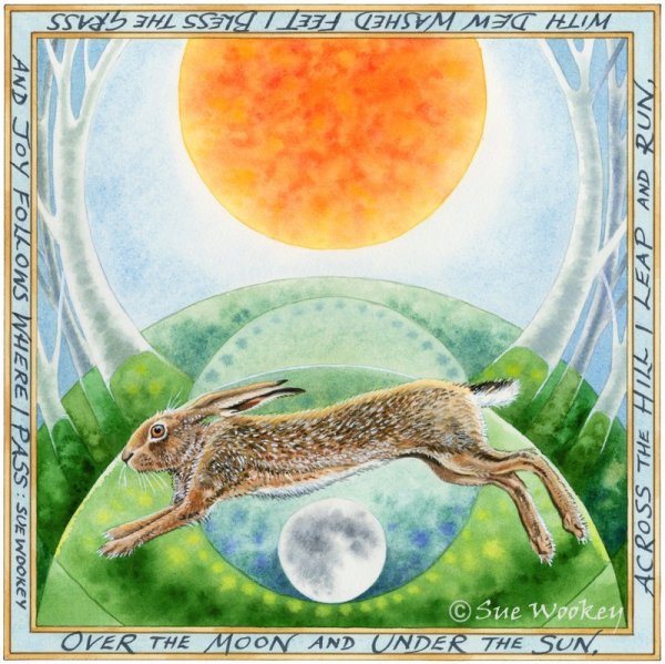 Hare Morning