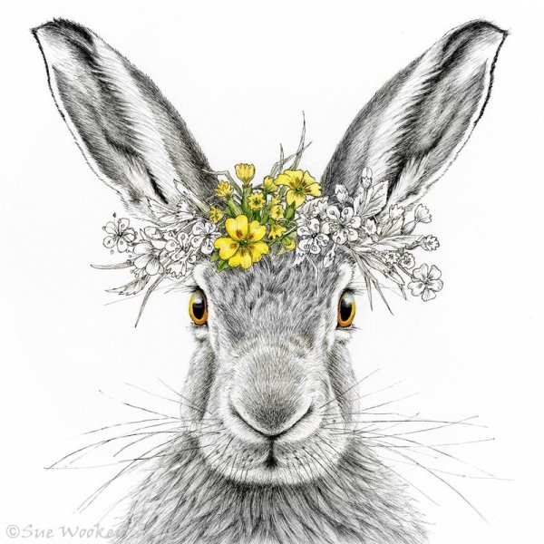 Hare Queen