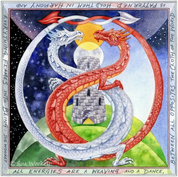 Merlin's Vision