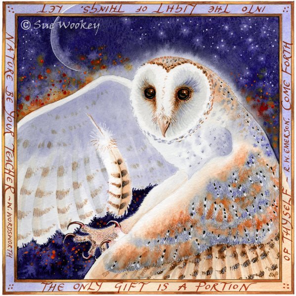 The Owl's Gift