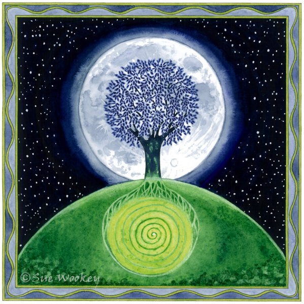 The Midnight Tree