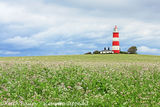 #1. Happisburgh Lighthouse Norfolk