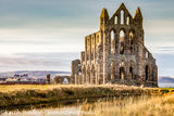 #13 Whitby Abbey