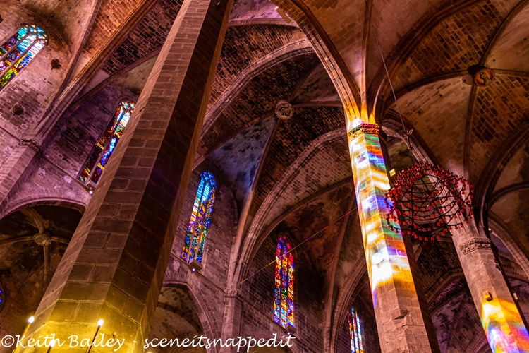 #145 Palma Cathedral