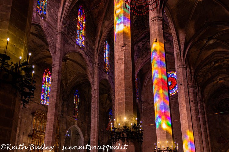 #146 Palma Cathedral
