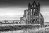 #14 Whitby Abbey