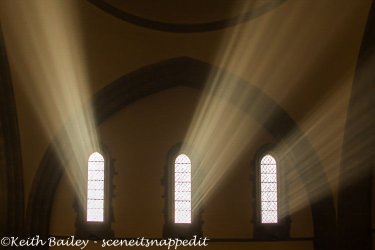 #15 Sunbeams