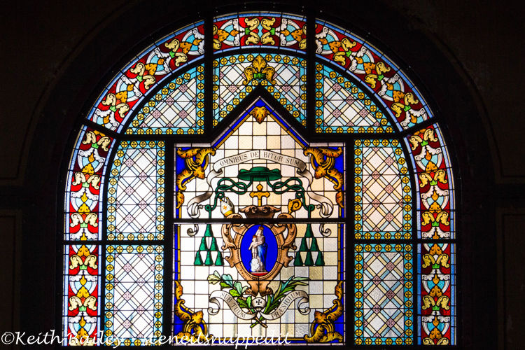 #48 Stained Glass Martinique Cathedral