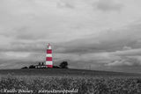 #87 Happisburgh Lighthouse Norfolk