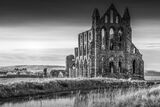 Whitby Abbey Yorkshire (Mono Study)