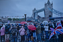 Diamond Jubilee 7