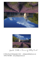 Lavender Fields Greetings Card
