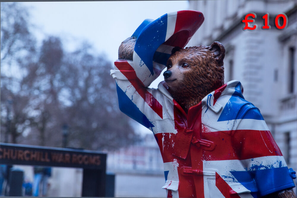 Paddington Bear 12