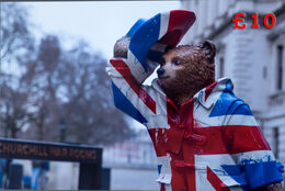 Paddington Bear 12