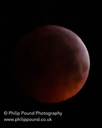 Red Moon Lunar Eclipse