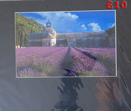 Senanque Abbey in Provence France 11