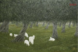 'SHAMBLE GROVE' (Oil On Canvas) _(PRIVATE COLLECTION, OTTAWA, CANADA)