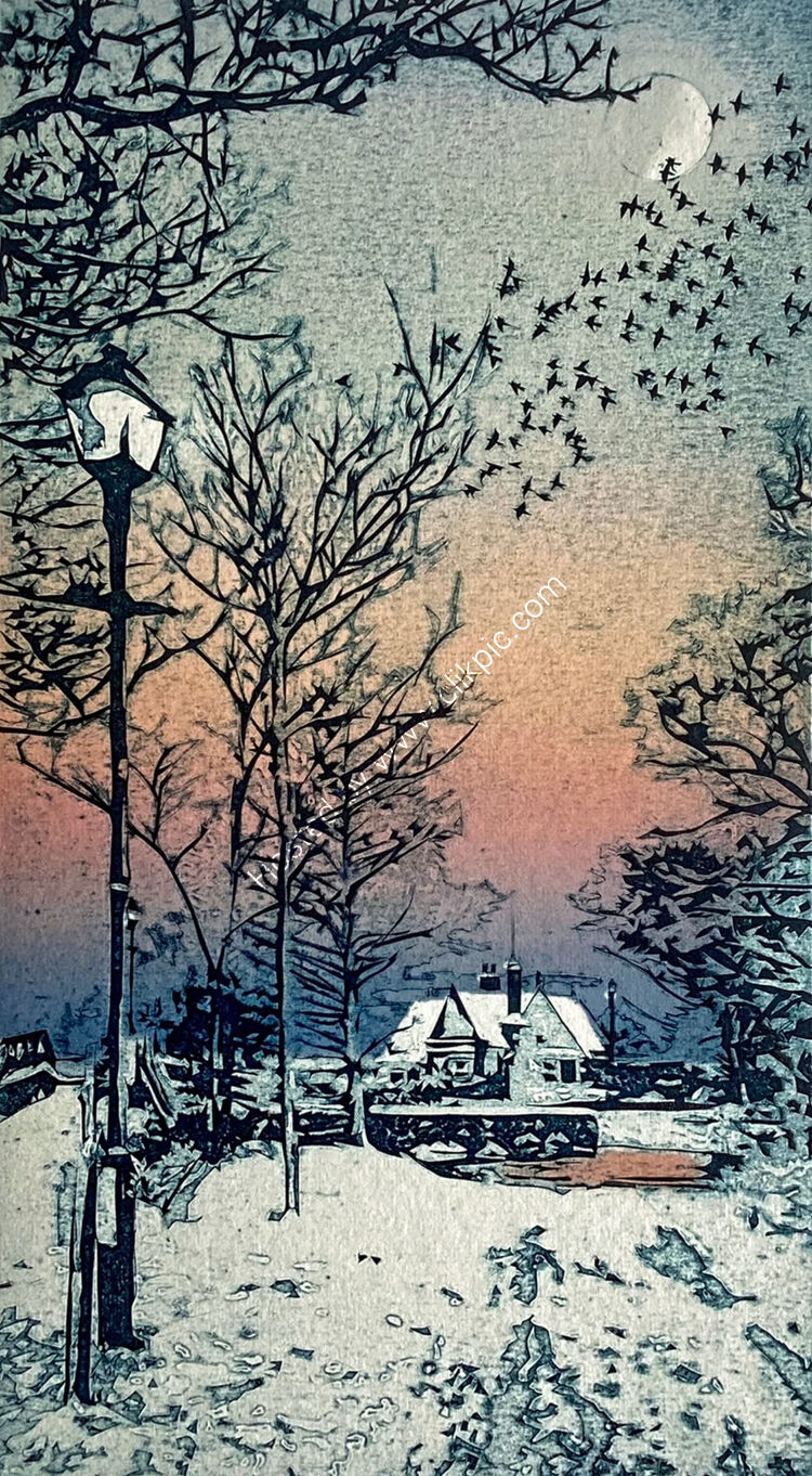 The constellation