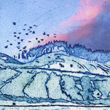 Jackdaws at Rovie