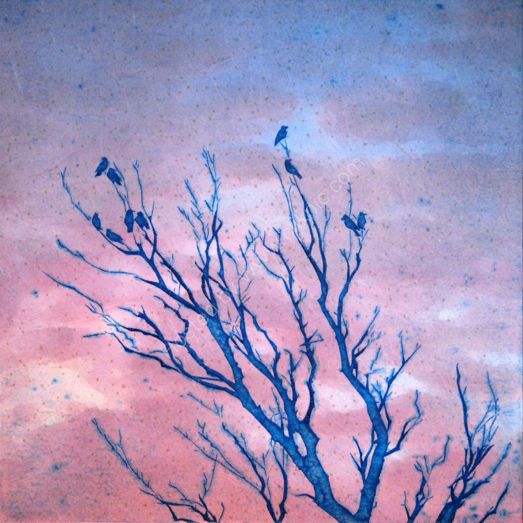 February jackdaws