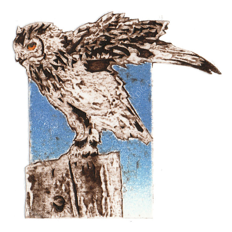 Owl