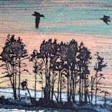 Ravens over Ferry Woods