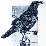 Winter raven