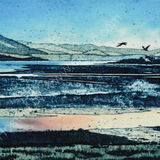 The estuary, summer evening