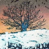 The roost