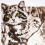 The wood-cat