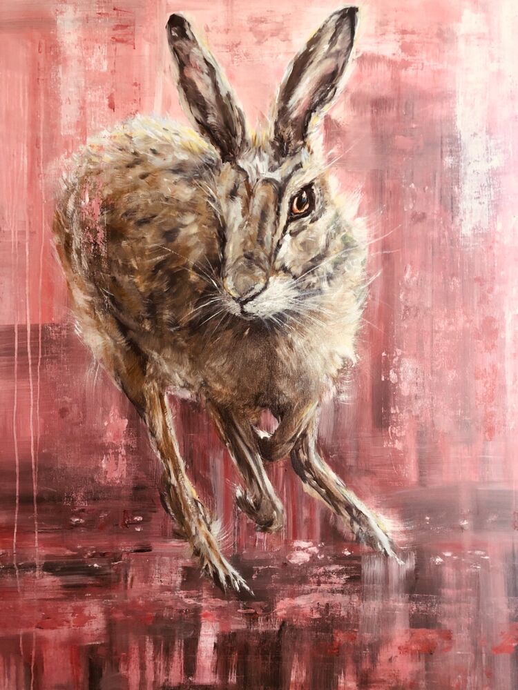 Mad Pink Hare