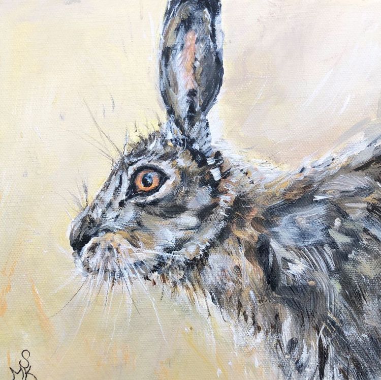 Hare study