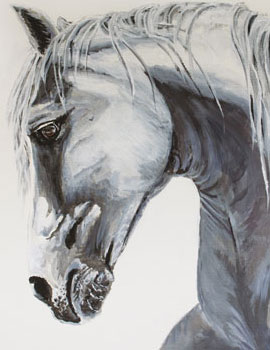 'Andalusian' cards