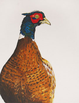 'Cocky Pheasant' cards