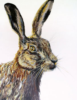 'March Hare' cards