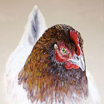 Sitting Hen