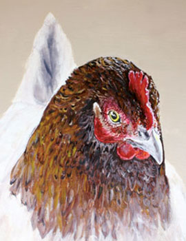 'Sitting Hen' cards