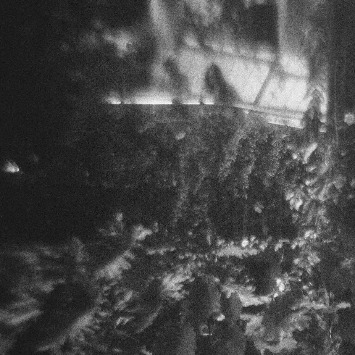 In the underworld