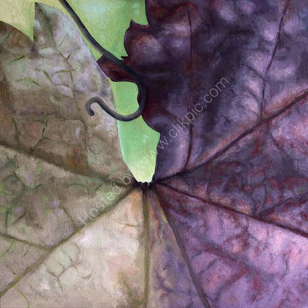 Vine Leaf