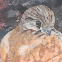 Waiting for News- In Progress 5