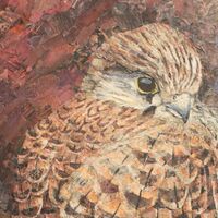 Waiting for News- Finished!