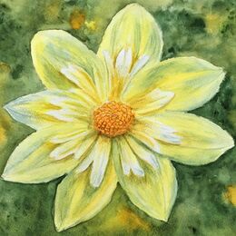 Student art watercolours