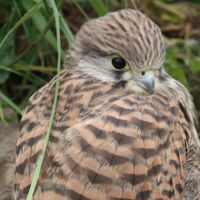 Waiting for News- In Progress 1