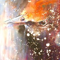 Starling- In Progress 4