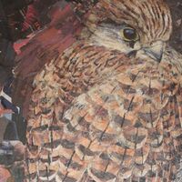 Waiting for News- In Progress 8