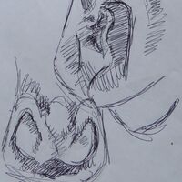 Wary Watchers- In Progress 2