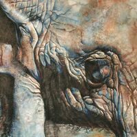 And we worry about wrinkles!